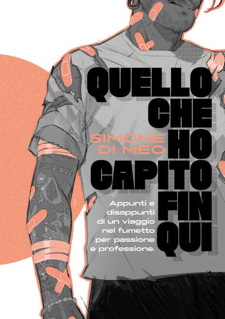 QUELLO CHE HO CAPITO FINO A QUI