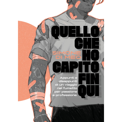 Quello che ho capito fin qui.